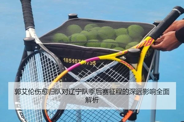 郭艾伦伤愈归队对辽宁队季后赛征程的深远影响全面解析